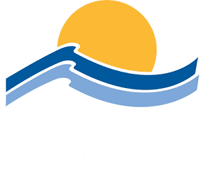 LNW srls — logo generato con IA